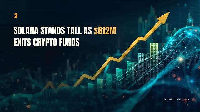 Solana Stands Tall as $812M Exits Crypto Funds