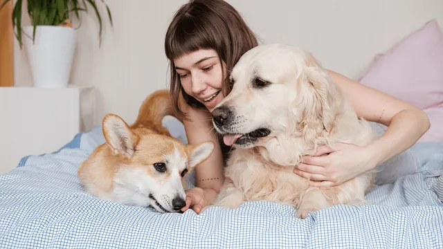 Top 5 Pet Classifieds Websites in the US