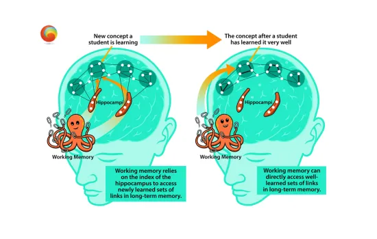 Neuroscience and the art of learning — The Declarative Learning System