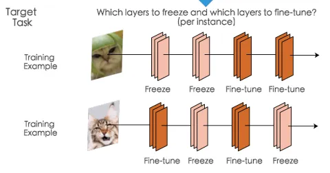 SpotTune: Transfer Learning attraverso Adaptive Fine-tuning