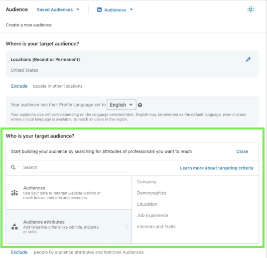 LinkedIn Campaign Manager