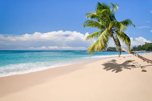 https://www.shutterstock.com/image-photo/desert-island-palm-tree-on-beach-71305345