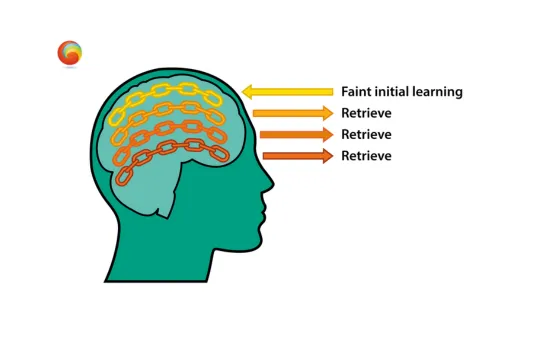 Neuroscience and the art of teaching — Retrieval Practice