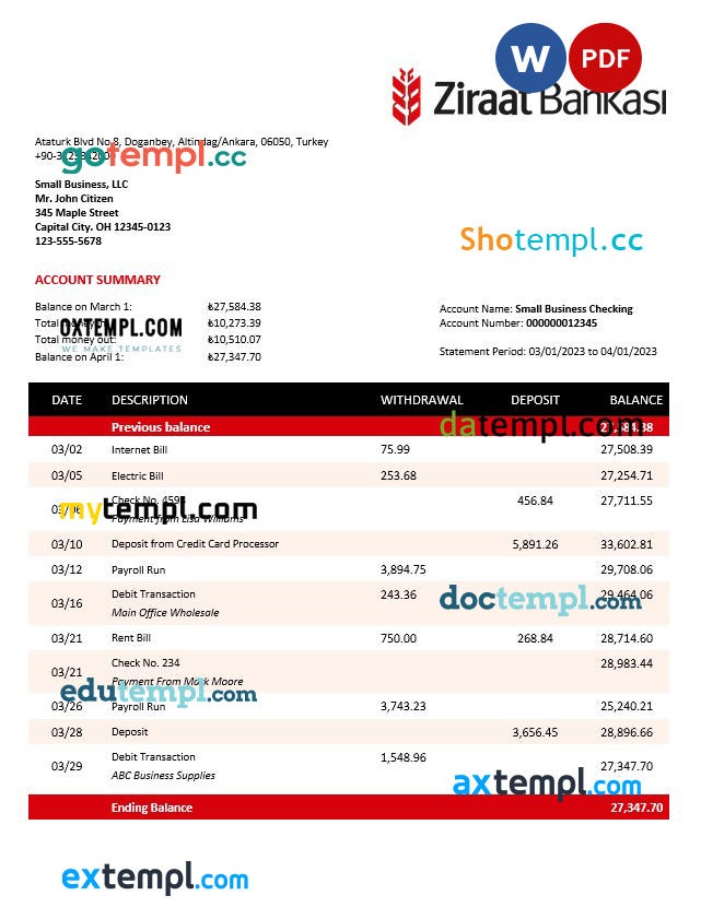Ziraat Bankasi business checking account statement Word and PDF template download template