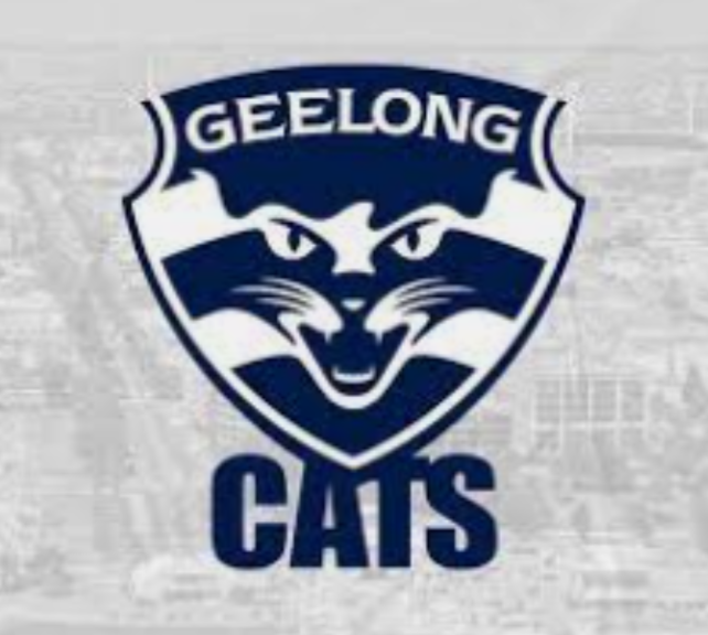 Geelong review of their last decade by aflguru Top Level Sports