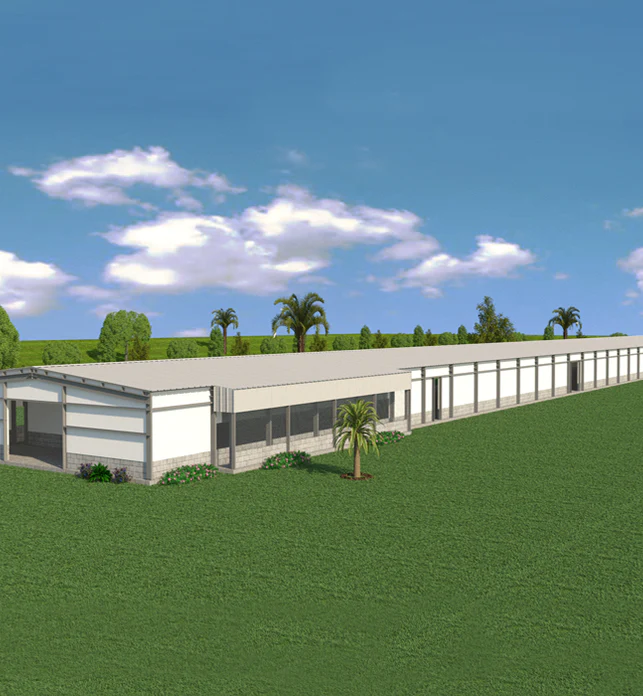 Feathered Fortresses Customized Steel Structure Poultry Farm Design