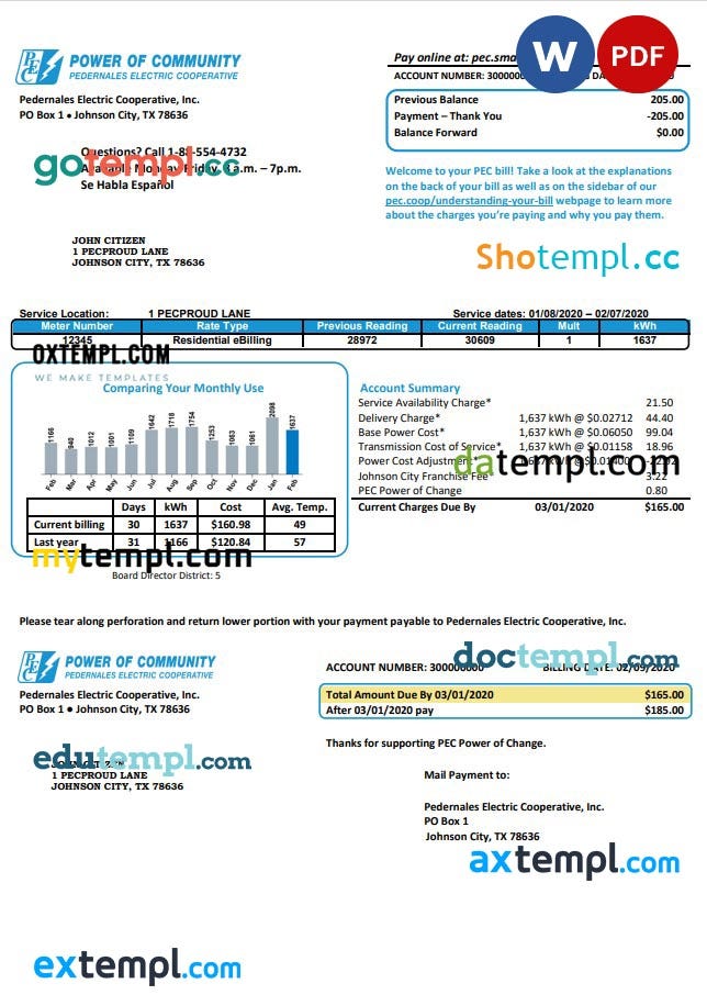 USA Texas Power of Community electricity utility bill in Word and PDF ...