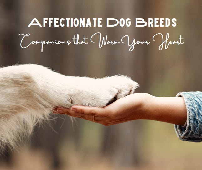 Preventing Dogs from Running Away Uncovering the 6 Key Reasons by