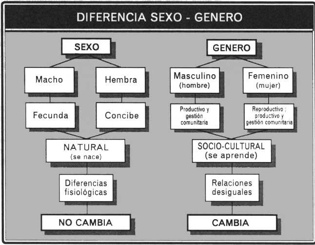 Género y sexo: diferentes términos | by Mujer y Género | Medium