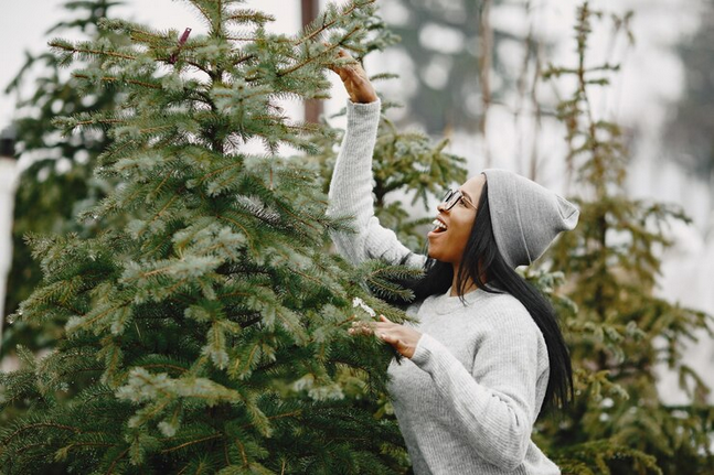 Selling christmas trees wholesale