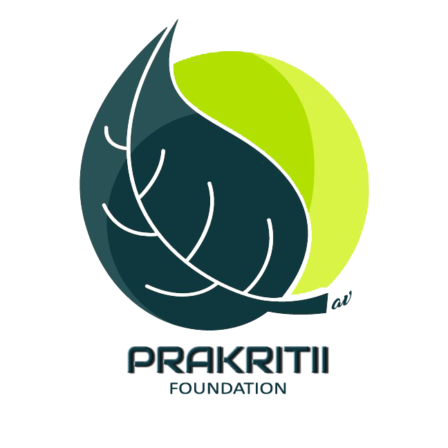 When the Rivers Rose: Prakritii Foundation’s Flood Relief in Assam