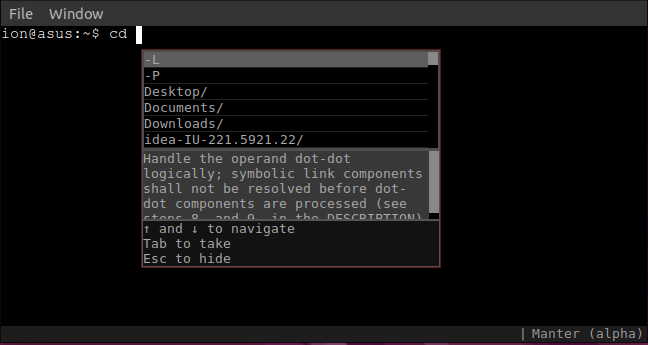 The terminal with autocomplete suggestions | by Ion Dodon | Medium