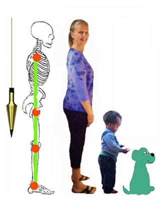 What the Heck is “Good Posture,” Anyway? (Probably not what you