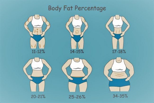 How Body Fat Percentage Actually Look Like | by Fitness Hub | Medium