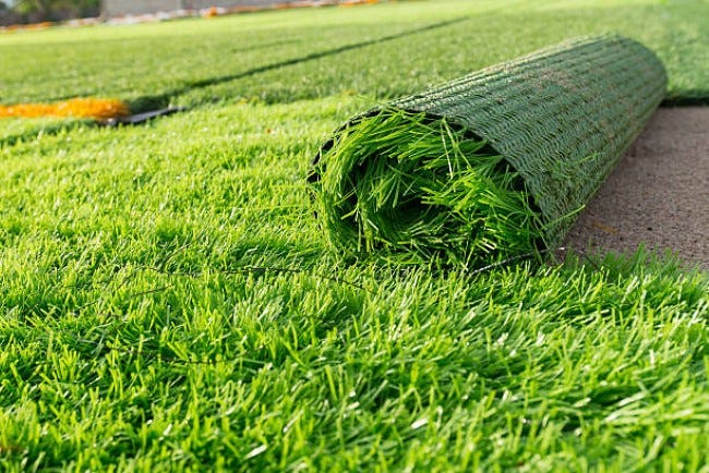 Understanding the Growing Demand for Wholesale Sod