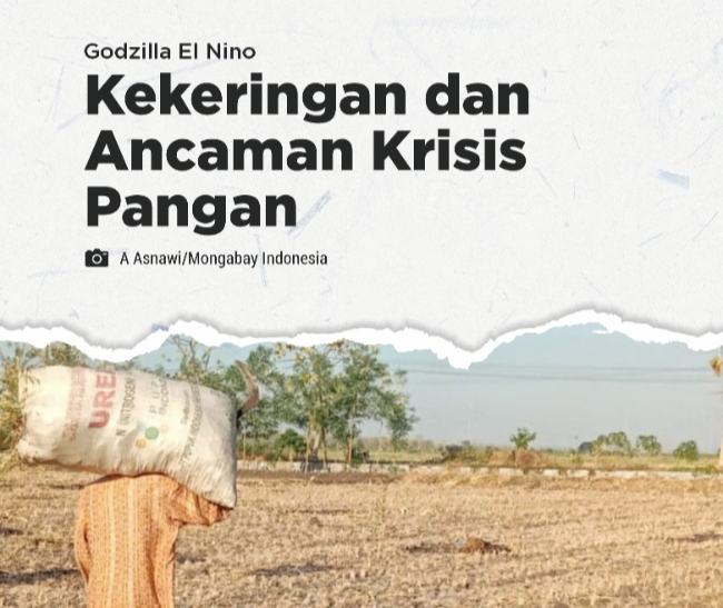 Antisipasi Krisis Pangan di Tepian Barito