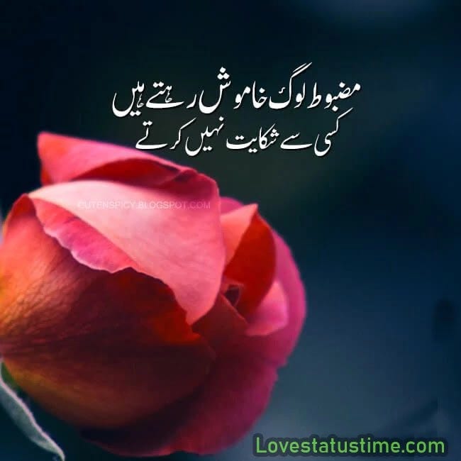 Whatsapp Status Images In English Dp by Love Status Time Medium