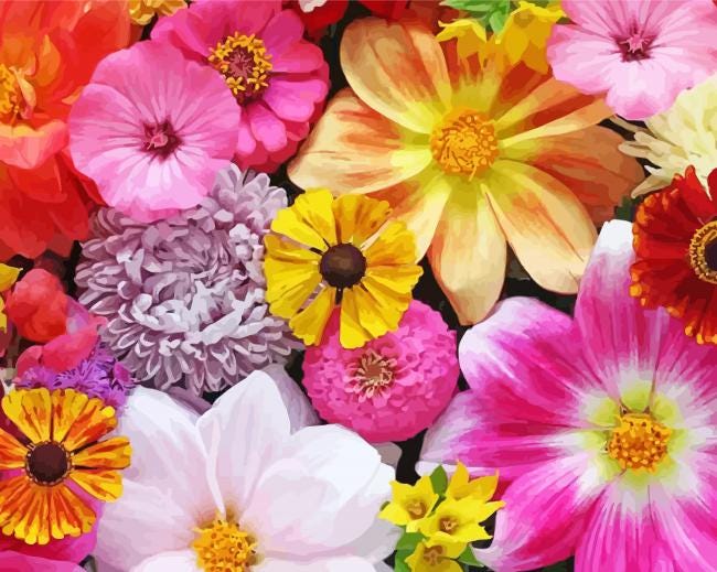 Extra Paint Set - Beautiful Blooms