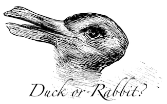 An image that is both a duck and a rabbit depending on your viewpoint