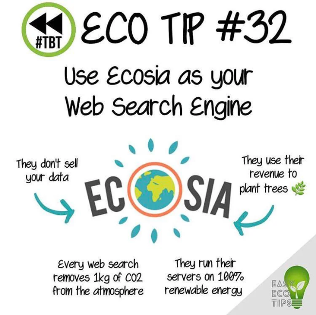 Ecosia- the search engine that plants trees