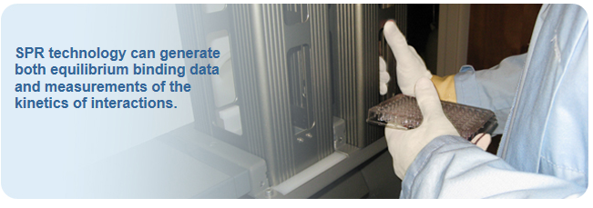 Binding Assays Of Selected Peptides From The Randomized Libraries With