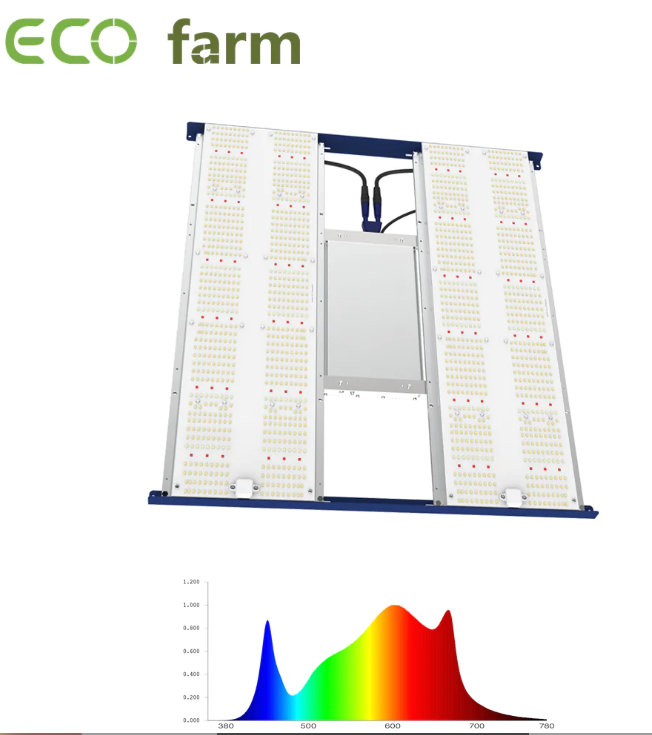 Can LED lights cause eye damage?. A 2012 Spanish study found that LED
