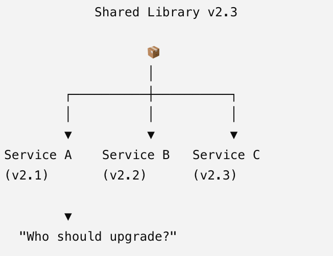 Shared Libraries Slowly Destroyed Our .NET Microservices