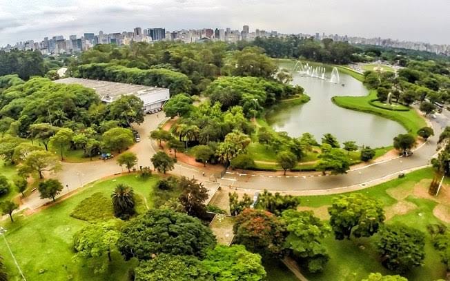 Garotinha Engraçada Com Rabo-de-cavalo No Jardim De Infância