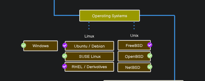 A Guide to Understanding Different Types of Operating Systems | by ...