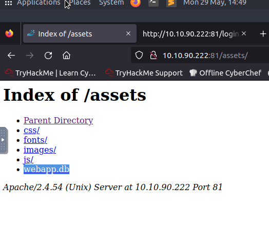 assets dir