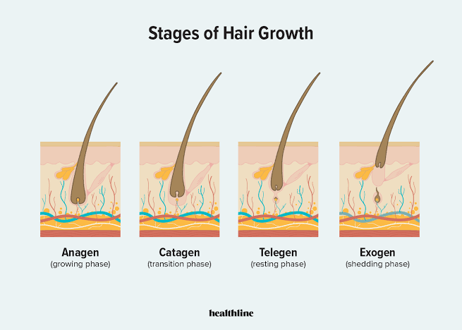 Hair Thinning in 2026: Causes, Science-Backed Fixes, and When to See a Doctor