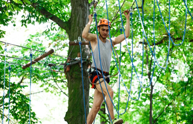 Understanding Tree Cabling and Bracing: When Your Tree Needs Extra Support