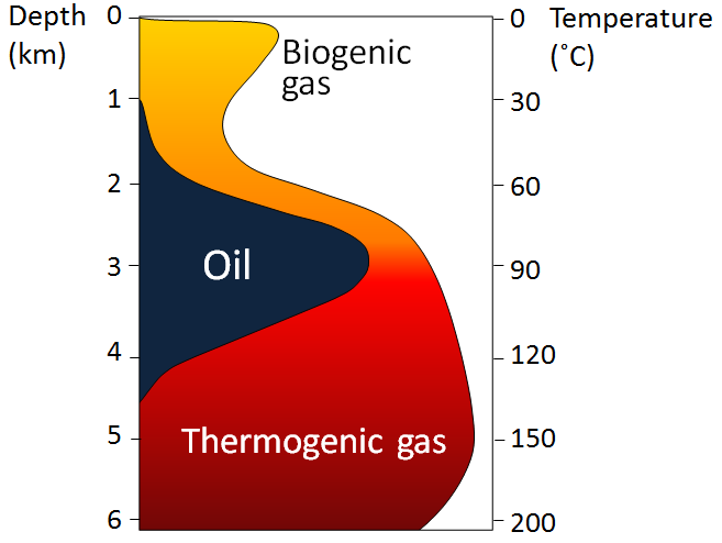 Biogenic Gas in Central Sumatra Basin