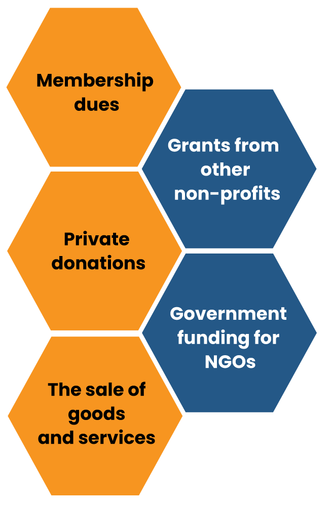 HOW AN NGOS GET FUNDING. INTRODUCTION by Rosyparween Medium