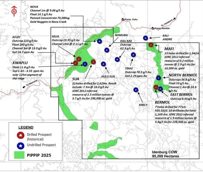 Understanding PIPPIB: Indonesia’s Forest Protection Framework