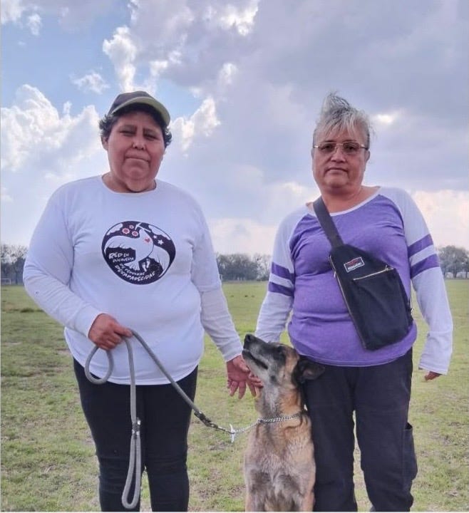 TE BUSCA MI CORAZÓN