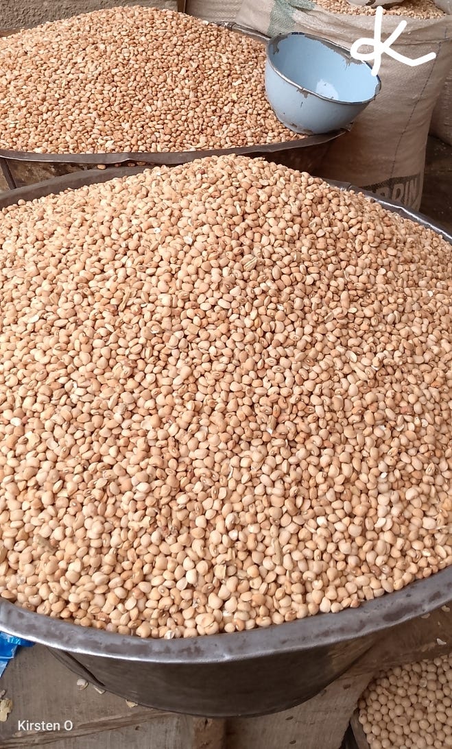 Pulses, Memory, and Healing: How Legumes Restore Communities and Identity
