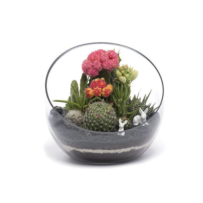 Alternatives to Sending Flowers. Sending flowers to a sweetheart, loved