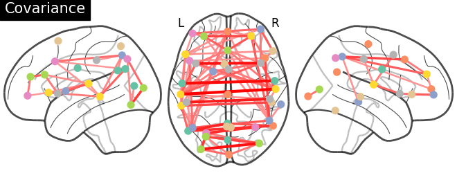 Brain Network Connectivity