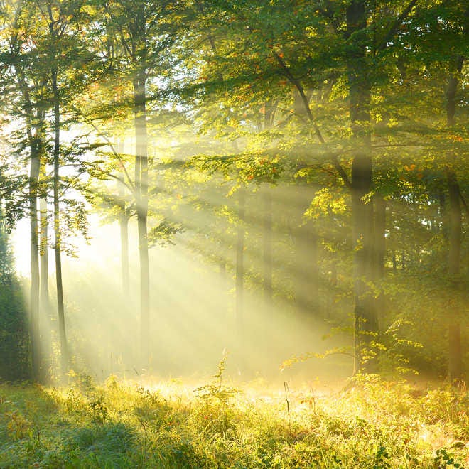 Mosaic Plot in Python. Data Visualisation Tool in Python… | by Dhiraj ...