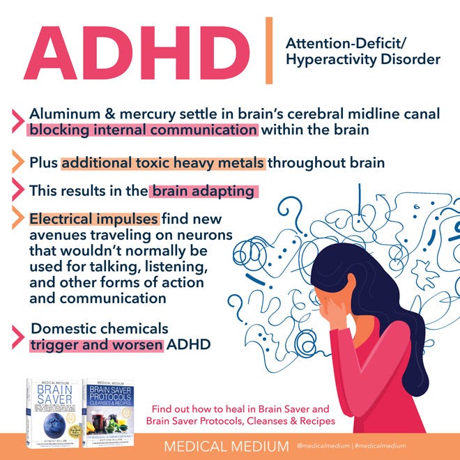 Neurobiological Foundations of Attention Deficit Hyperactivity Disorder ...