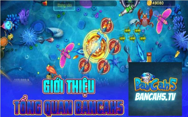 Giới thiệu về Bancah5 - Bancah5 - Medium