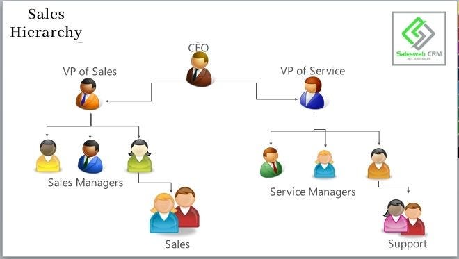 Sales Hierarchy. Saleswah expands as your business does | by ...