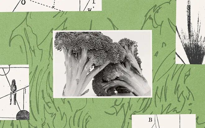 Videos on Medium Series Image