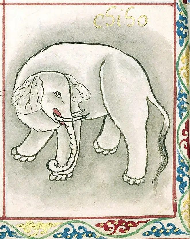 What is a White Elephant and Why? by Joseph CMW Medium