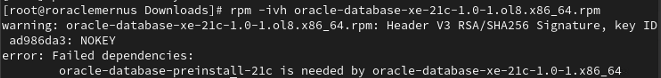 Oracle Database 21c Express Edition Kurulumu: Adım Adım Rehber