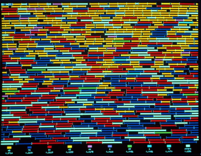 Latent Code, Potentiality, and Emergence in Evolving Systems | by James ...