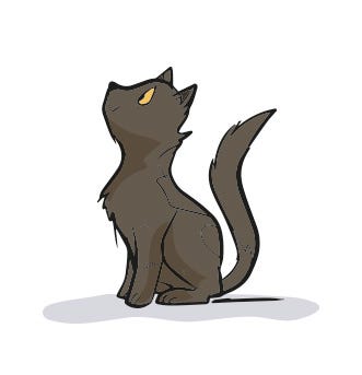 Qual emoção você vai criar hoje?