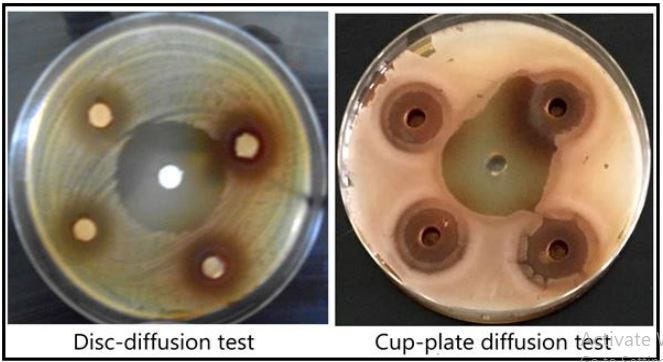 Antibacterial potential of methanolic extract of Syzygiumaromaticum (clove) against different…