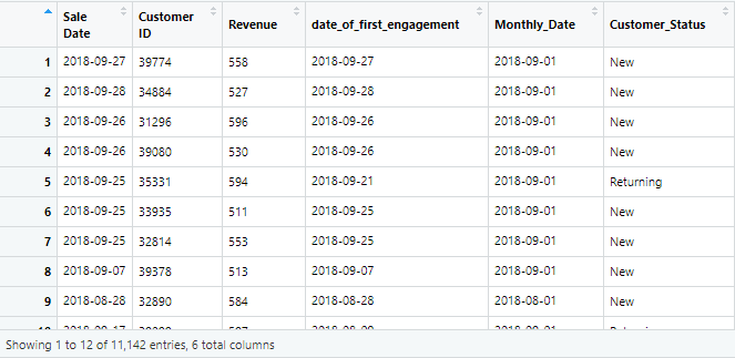 Calculating New and Returning Customers in R | by Hamza Rafiq | Towards ...